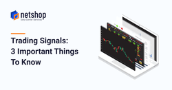3 Important Things To Know About Trading Signals