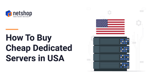 How to Buy the Cheapest Dedicated Servers in USA