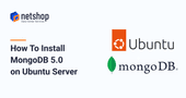 How To Install MongoDB (5.0) in Ubuntu 20.04 / 18.04 Server