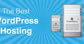 Why Businesses Need WordPress Hosting