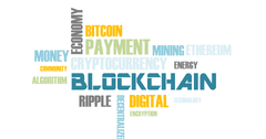 Blockchain Hosting: What Do Startups Need to Know?