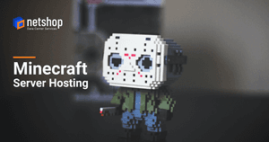 What is Minecraft Server Hosting