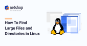 How To Find Large Files and Directories in Linux Server