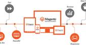 Why Choose Magento Hosting for Business