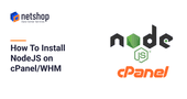 How To Install NodeJS on cPanel/WHM