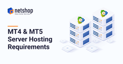 How to Choose the Right Server for MT4 and MT5 Trading Platforms