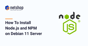 How To Install Node.js and NPM on Debian 11 server