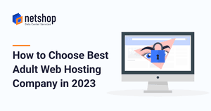 How to Choose Best Adult Web Hosting Company in 2023