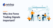 Why Are Forex Trading Signals Important?