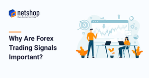 Why Are Forex Trading Signals Important?