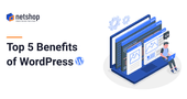 Top 5 Benefits of WordPress