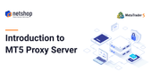 Introduction to MetaQuotes MT5 Proxy Server