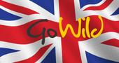 GoWild granted a UK Remote Gambling Operating Licence
