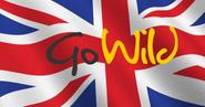 GoWild granted a UK Remote Gambling Operating Licence