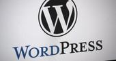 Top Reasons Why Your WordPress Website Slows Down
