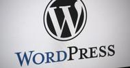 Top Reasons Why Your WordPress Website Slows Down