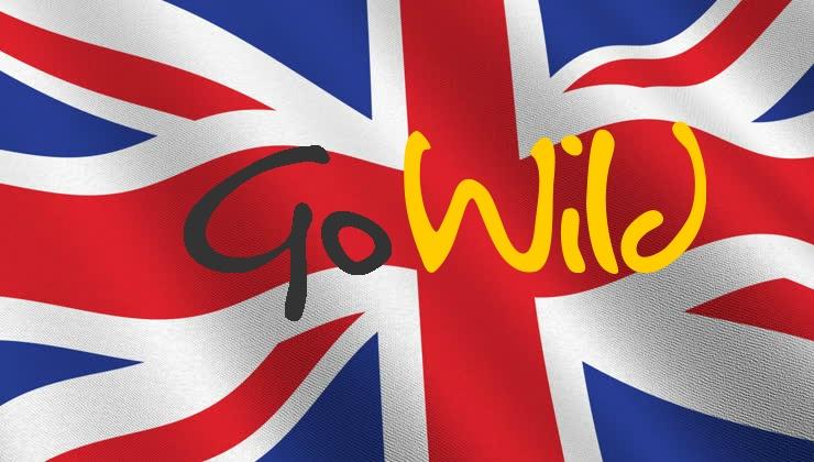 GoWild granted a UK Remote Gambling Operating Licence
