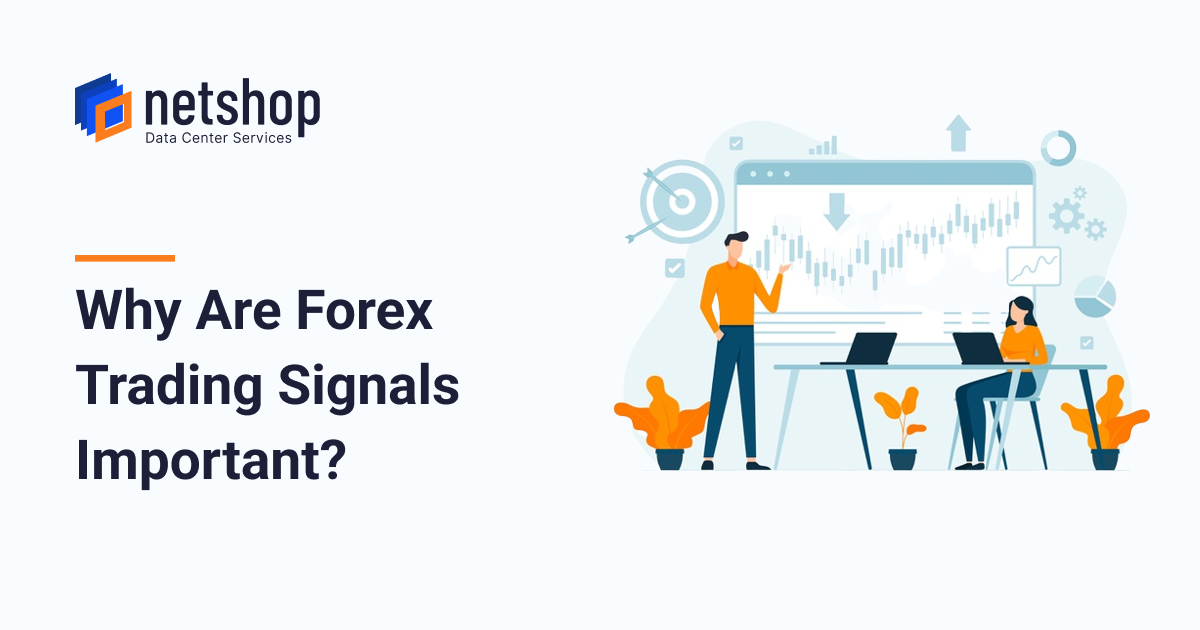 Why are Forex Signals Important?